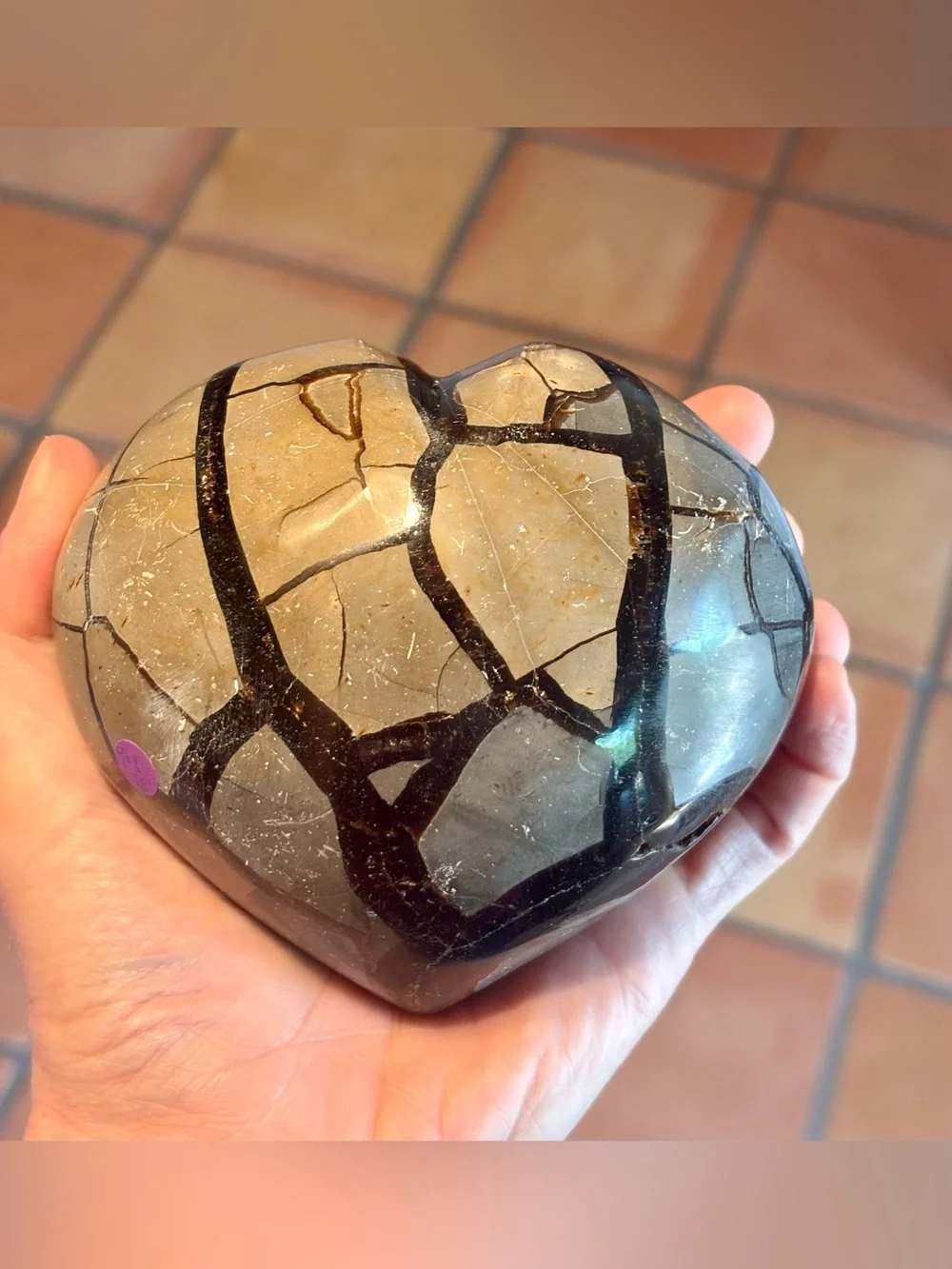 🐉 🖤 HUGE Black Septarian Crystal Heart w Druzy 900g (~2 lbs!)